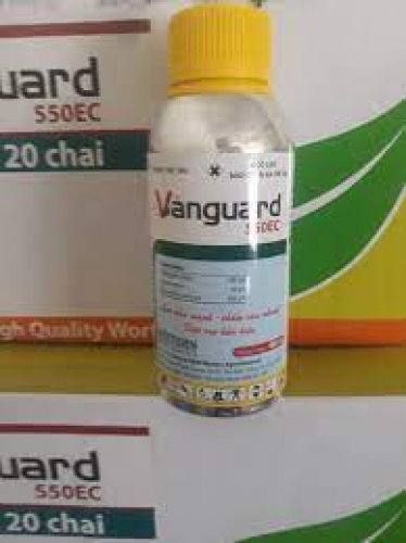Vanguard 550EC (Cty TNHH thuốc BVTV Mekong)